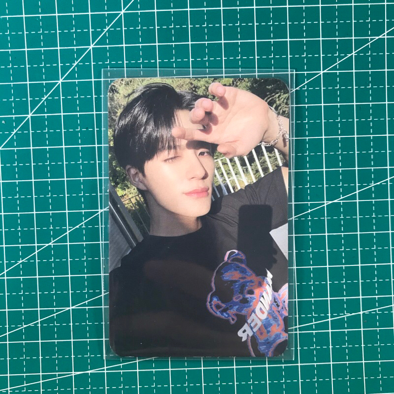 WTS PC JENO TEDDY ISLAND