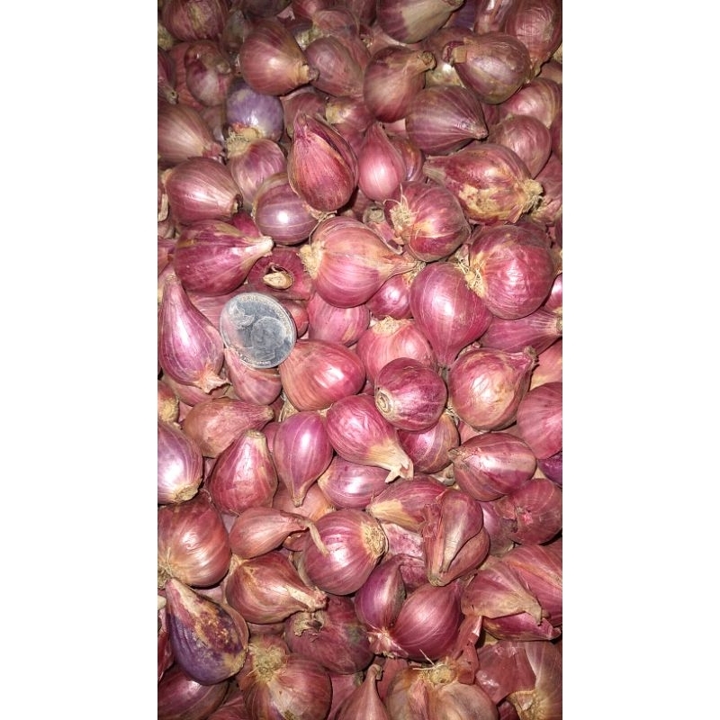 

Bawang Merah Super 0.5Kg