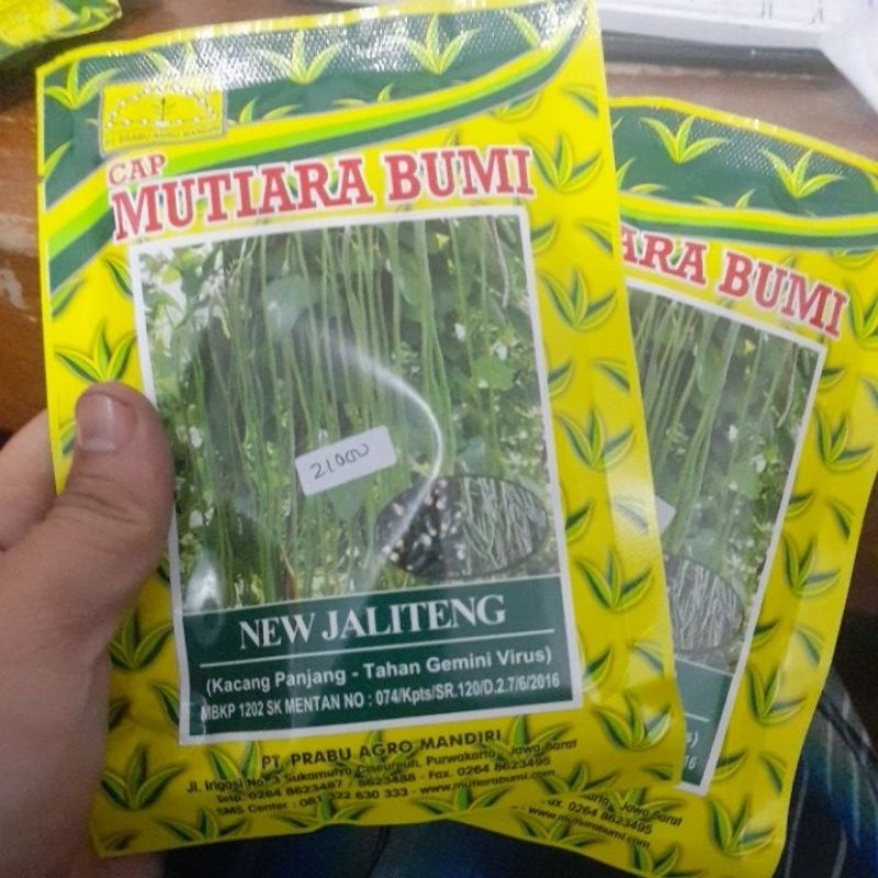 harga promo Benih Kacang panjang NEW JALITENG isi 100 gram