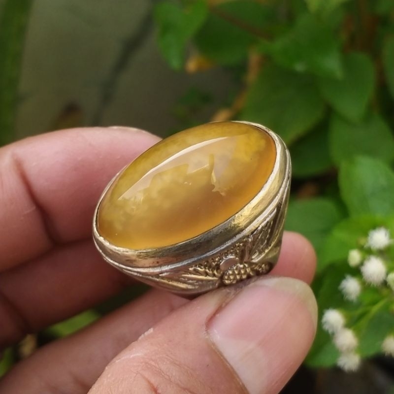 batu cincin akik pandan nanas sisik betik ngambang