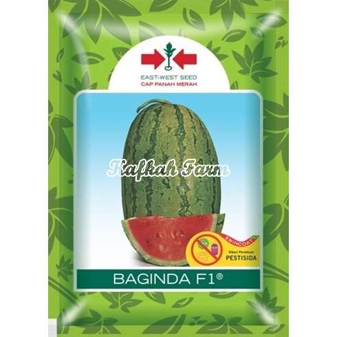 Benih 2 Biji Semangka BAGINDA F1