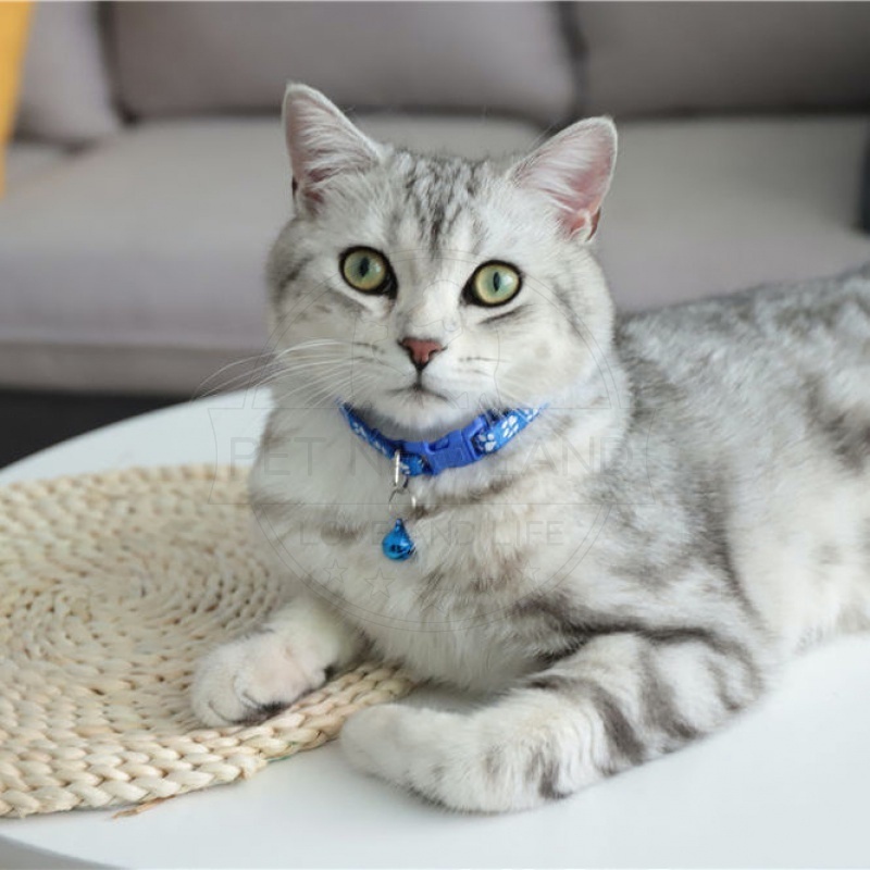 Kalung Kucing Kalung Anjing Bermotif Jejak Kucing Lonceng Pet Collar Aksesoris Hewan