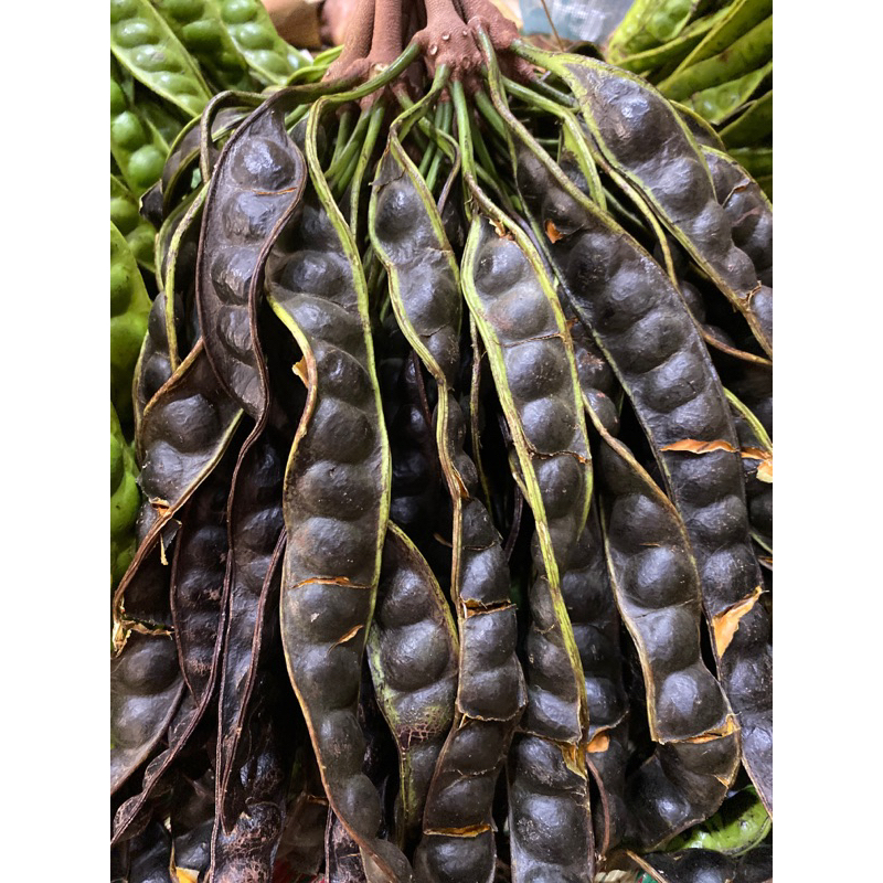 

pete mateng 15 papan