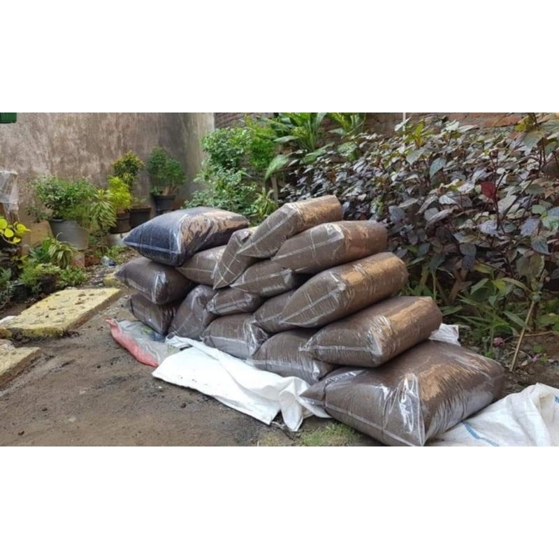 pupuk organik (kohe sapi)