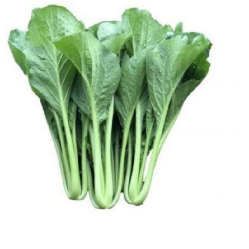 

cesim , sawi ijo 1kg