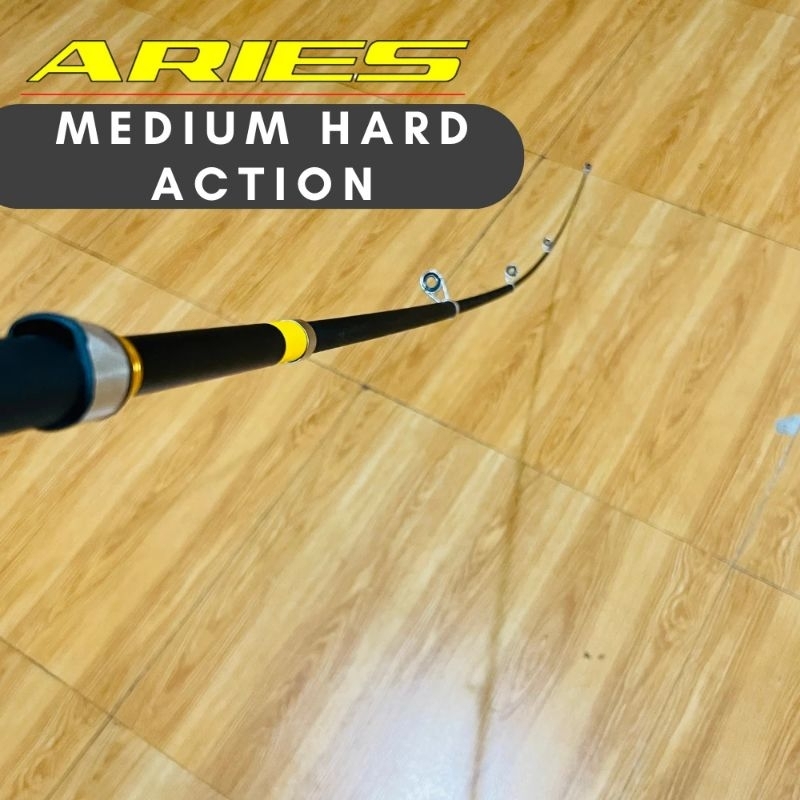 joran fukushima aries