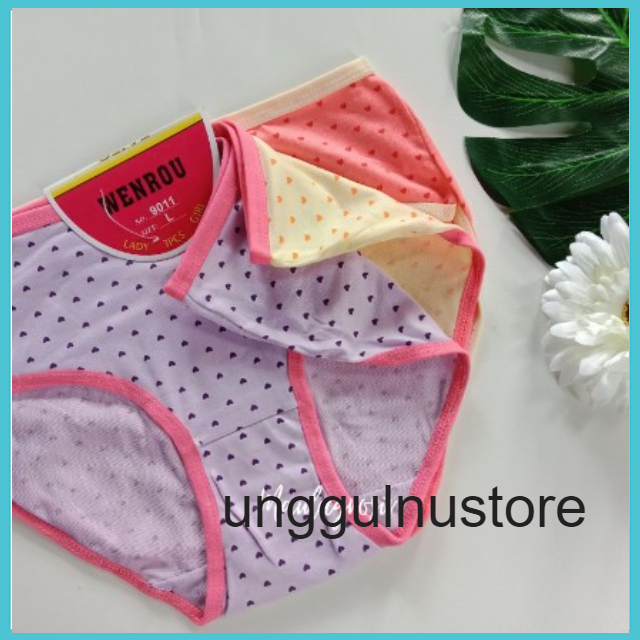 Paket Lusinan Celana Dalam Wanita Dewasa Wenrou