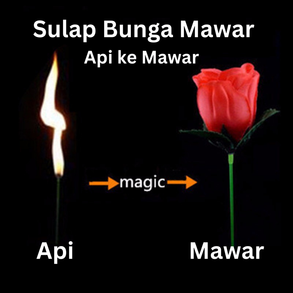 Trik Sulap Mawar Magic Sulap Bunga Mawar Api ke Mawar Dengan usapan tangan tangkai yang tadi kobaran