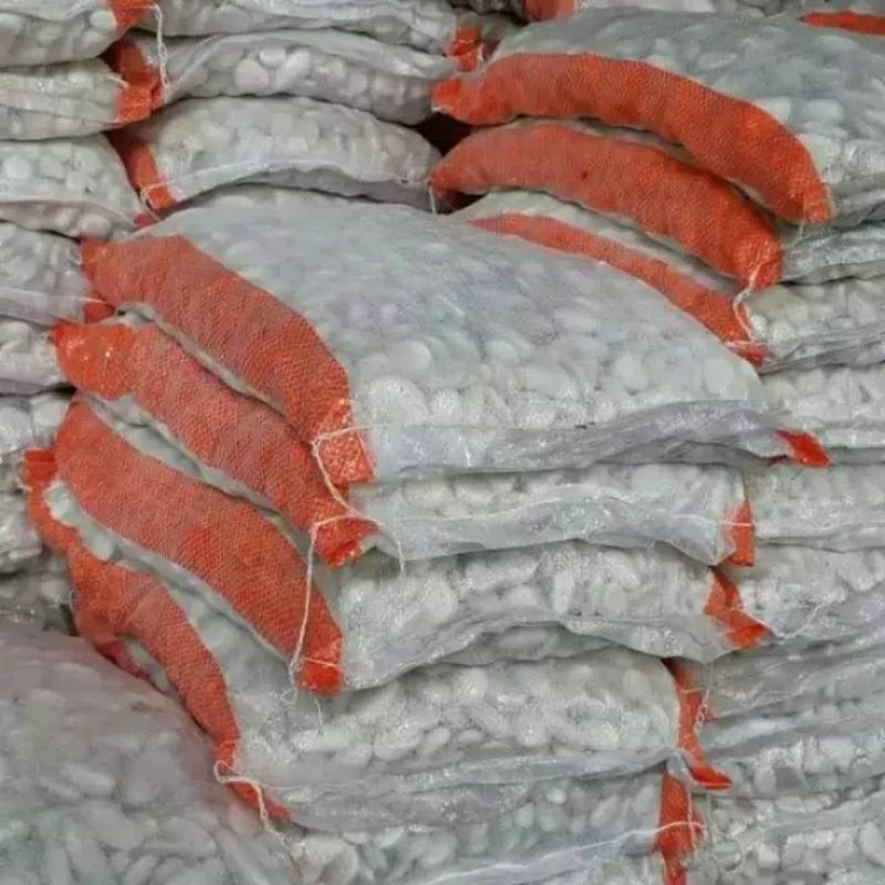 BATU KORAL PUTIH - BATU TAMAN KERING