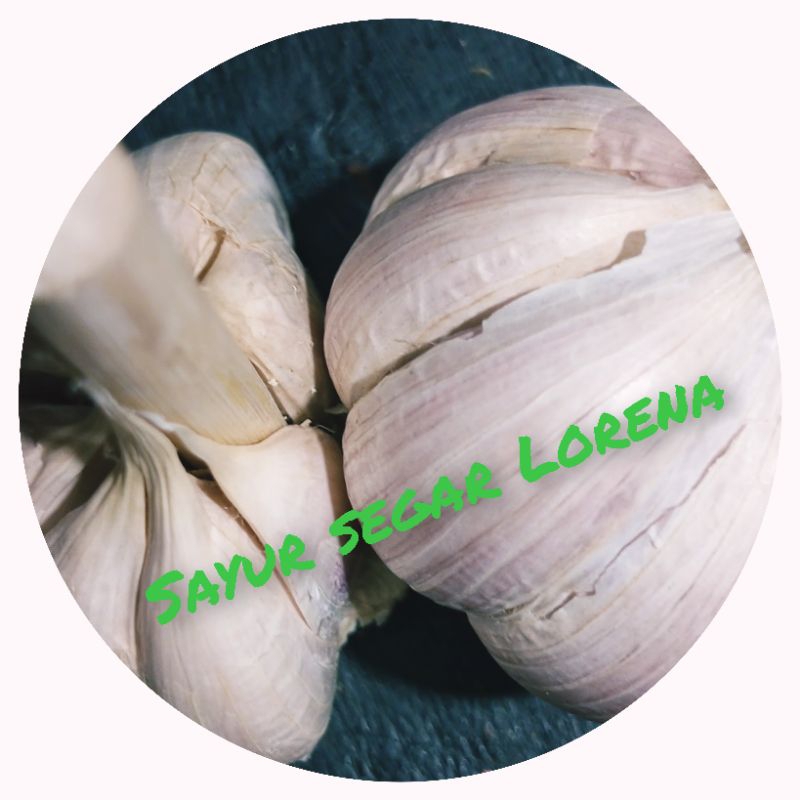 

Bawang putih