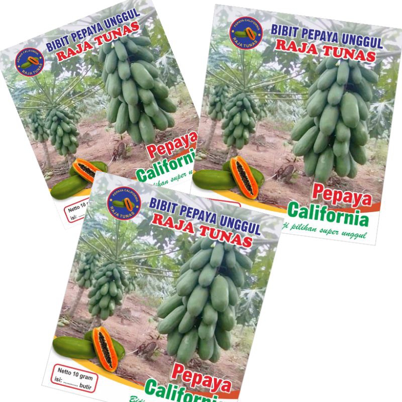 bibit pepaya California madu 5 gram 250 biji