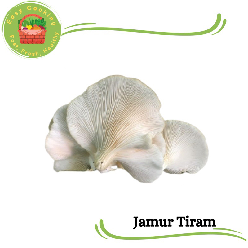 

Easycooking - Jamur tiram 1 ikat isi 5 pcs