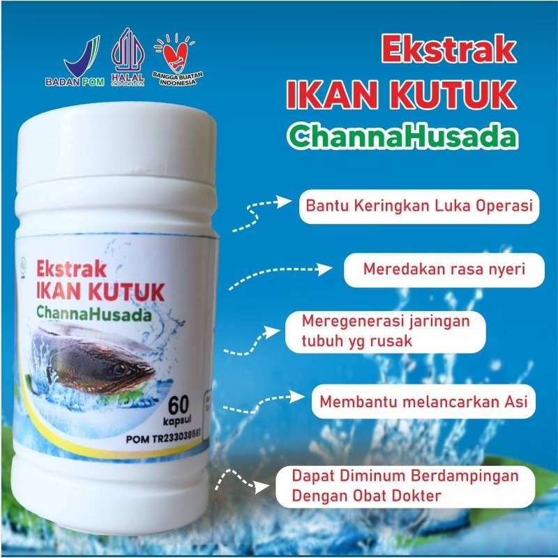 KAPSUL KUTUK CHANA HUSADA IKAN GABUS