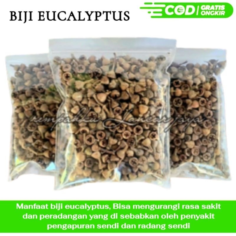 

EUCALYPTUS/ EKALIPTUS/ KALITUS/ CEPLIKAN 100G