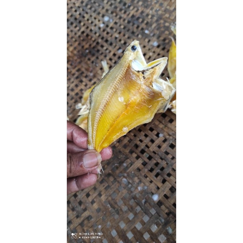 

Ikan Asin Bulu ayam paling renyah