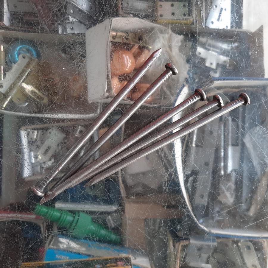 Paku Kayu 12 cm 1/4 KG (250 gram)