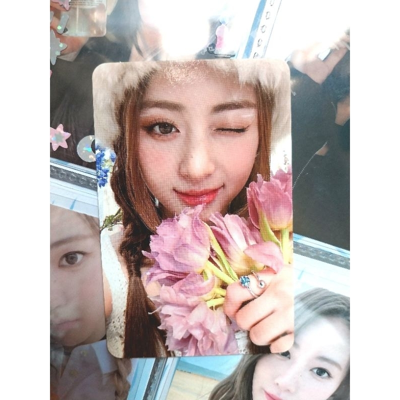 Photocard Official Le sserafim Yunjin Tulip (PAIR 1 PC)