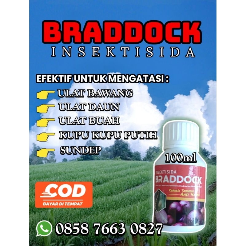 BRADDOCK Insektisida Pembasmi Ulat Paling Ampuh
