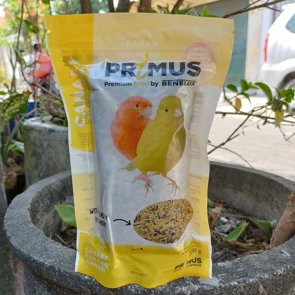 PRIMUS CANARY PREMIUM BENELUX PRIMUS KENARI PAKAN KENARI IMPORT