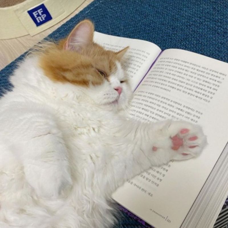 

Joki Tulis Tangan (1)