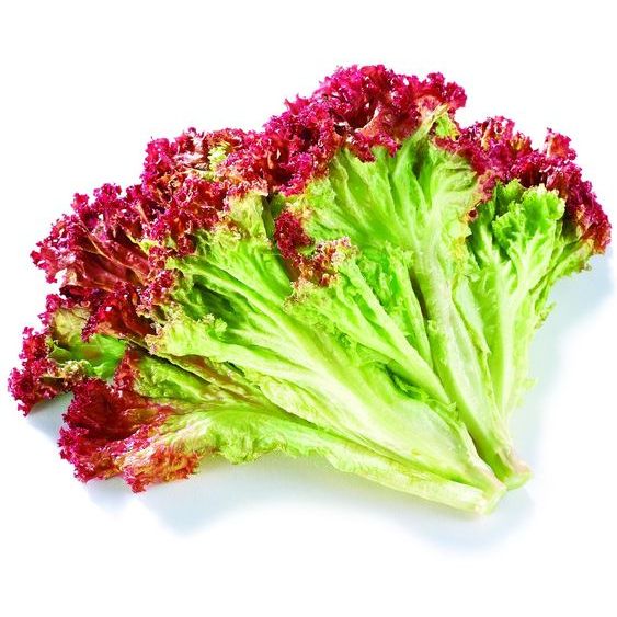 

Lolorosa Lettuce/ Selada Keriting Merah 500 gram