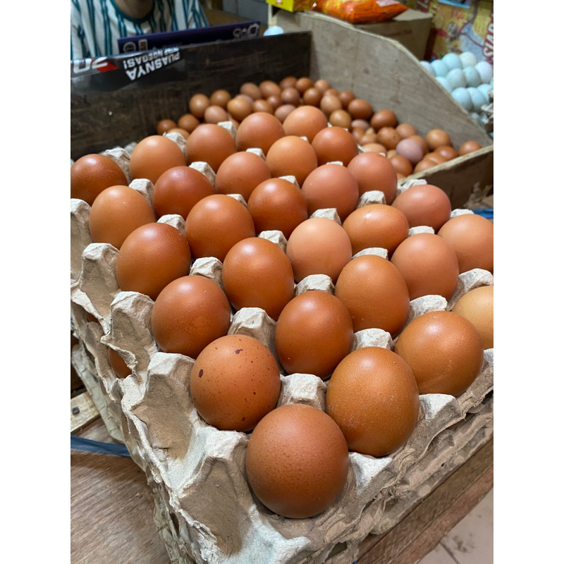 

Telur Ayam Negri 1 kg isi 15 butir (ukuran besar)