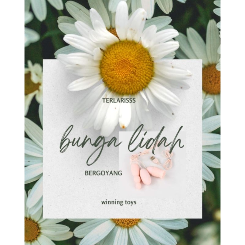 Bunga matahari lidahh terindah.store