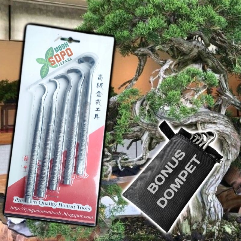 Alat Bonsai, Alat Ukir Ryuga Stenlis, Jin Bonsai Carving Tool's Ryuga CTA