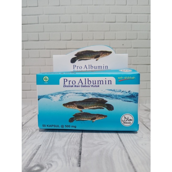Pro albumin minyak ikan gabus