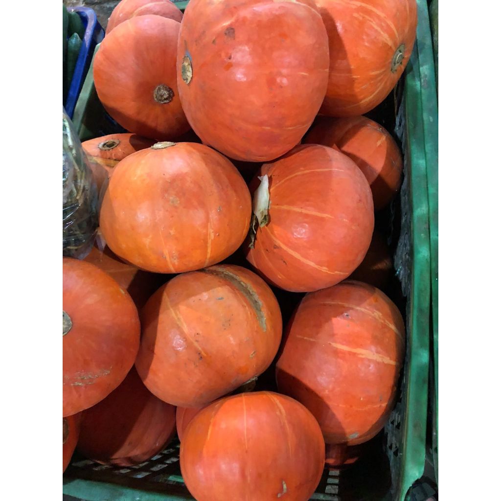 

Labu Kuning/ Kabocha