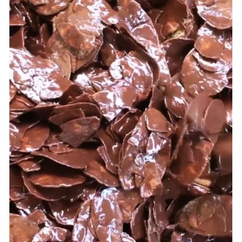 

Kripik Pisang Lumer Rasa Coklat 160gr