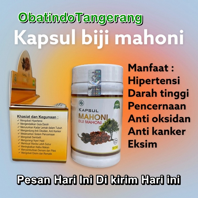 Kapsul Obat Gatal Biji Mahoni Asli