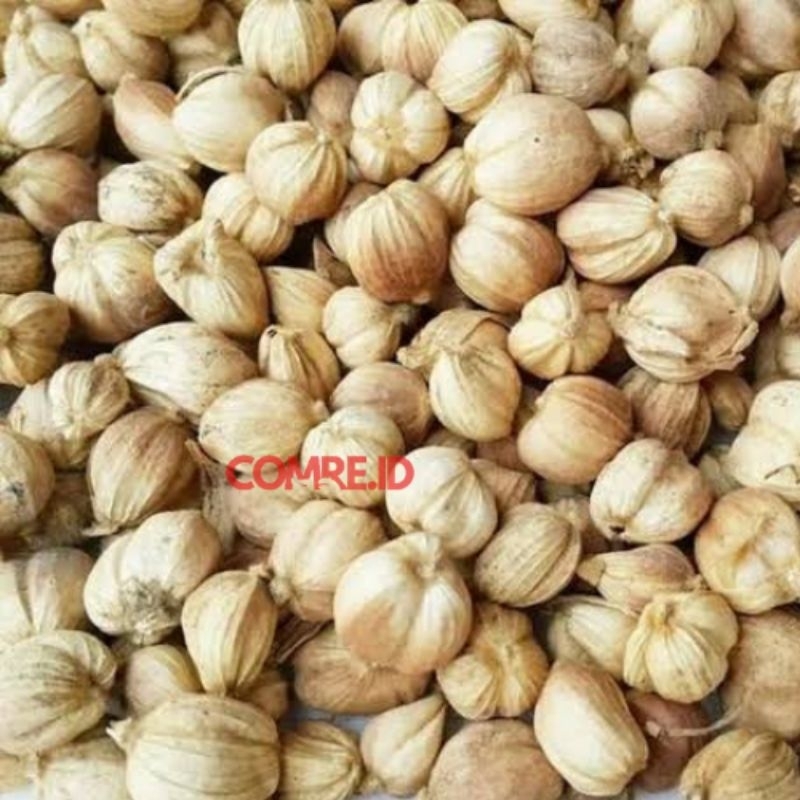 

kapulaga kering asli jawa barat kapol berat 250 gram