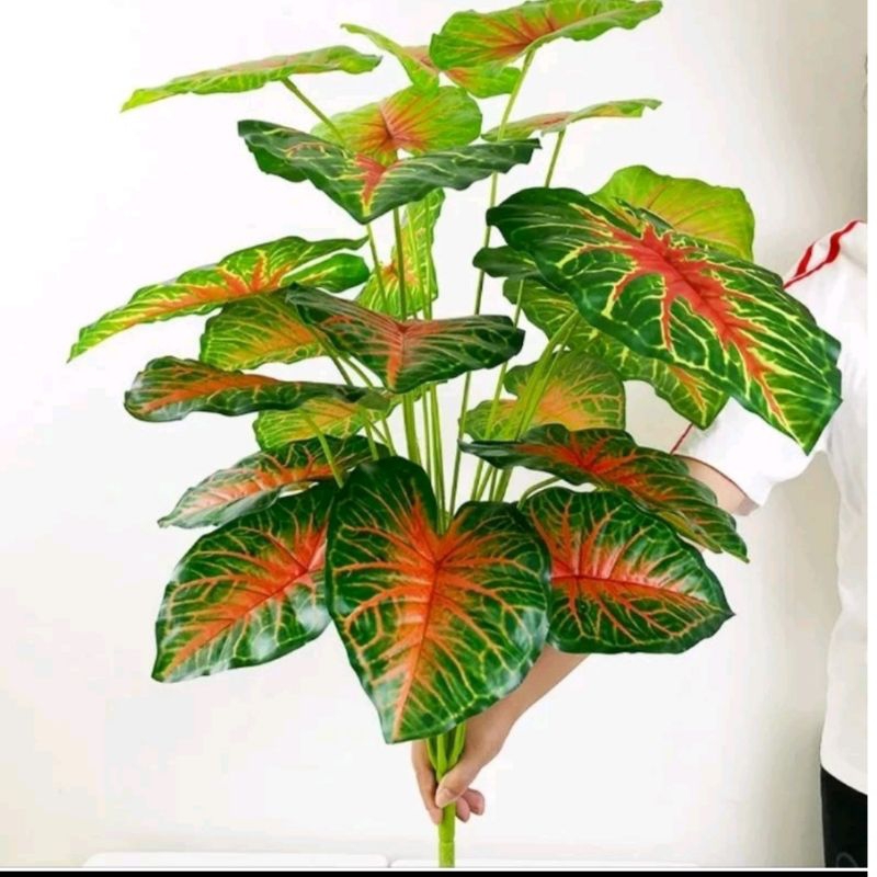 Talas Hati Merah Tinggi 75cm 18 Daun Tanaman Artificial