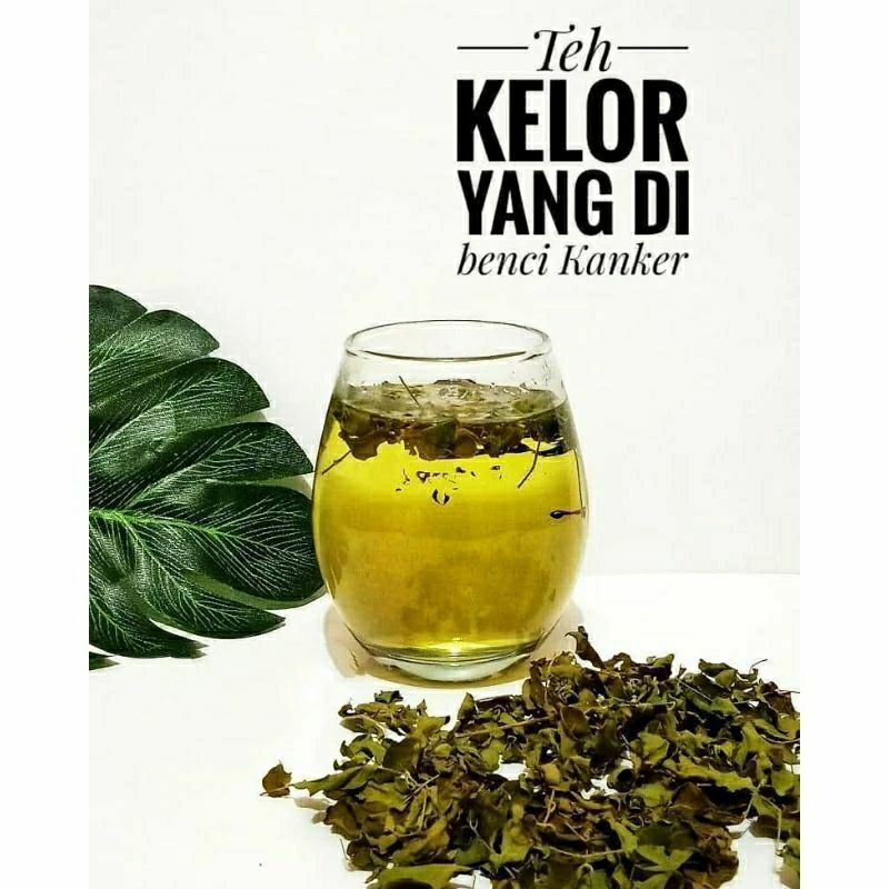

teh daun kelor 18gr