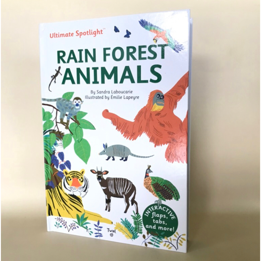 Ultimate Spotlight Rain Forest Animals