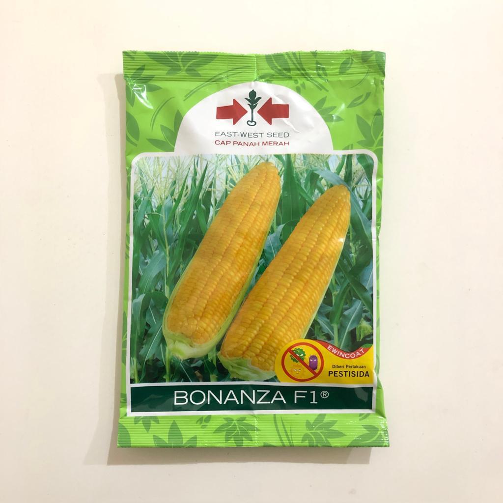BIBIT JAGUNG MANIS BONANZA NOW F1 - 200 BUTIR