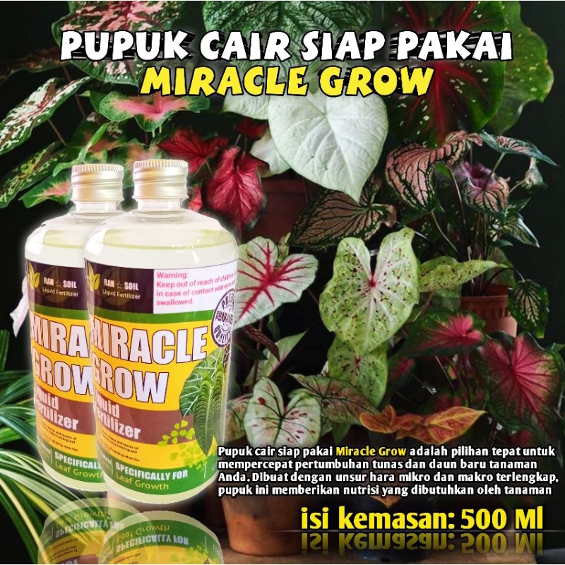Pupuk cair untuk pertumbuhan tanaman hias daun siap pakai miracle grow