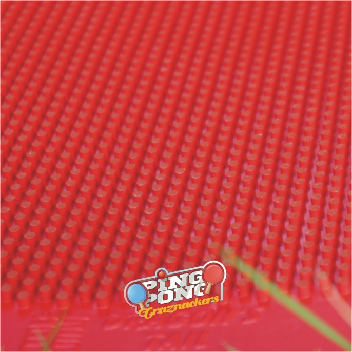 Premium Karet Bintik Jahanam Dragons Tail Tenis Meja
