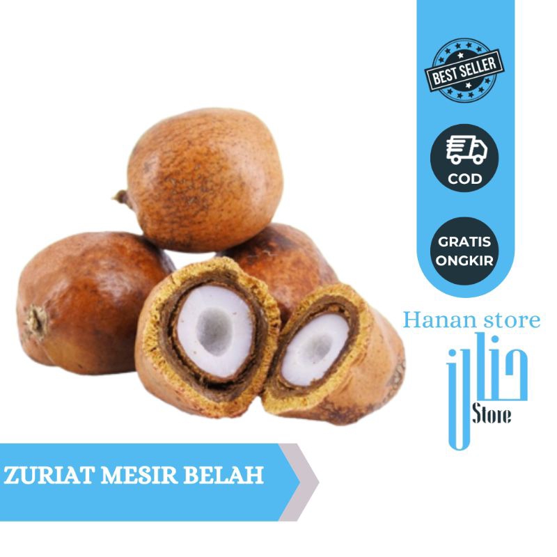 

Buah zuriat MESIR/Buah zuriat promil