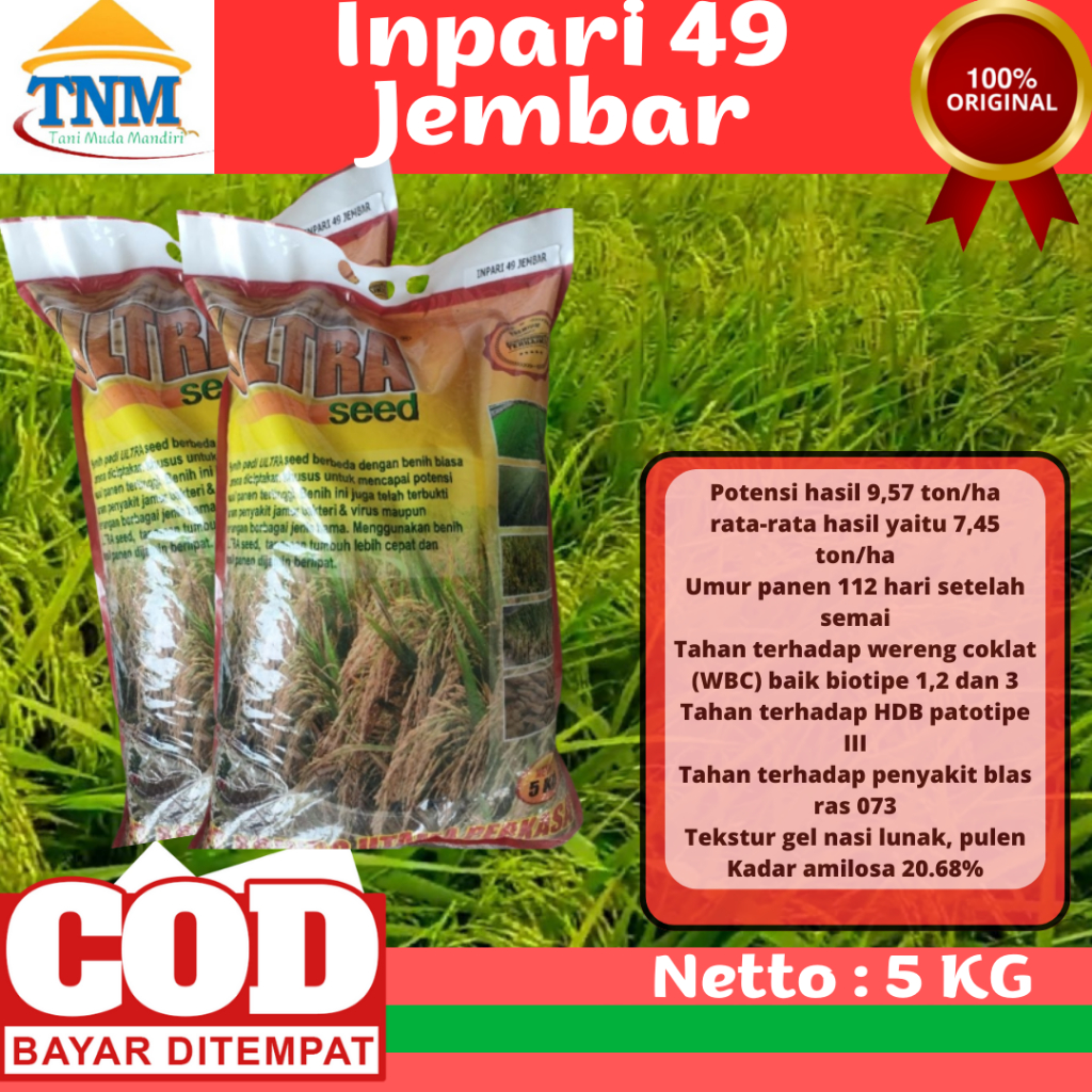 Biji Padi Unggul Inpari 49 (5kg)