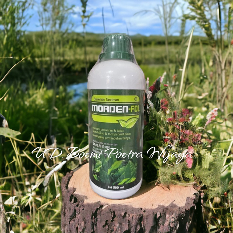 PUPUK CAIR MORDEN FOLL