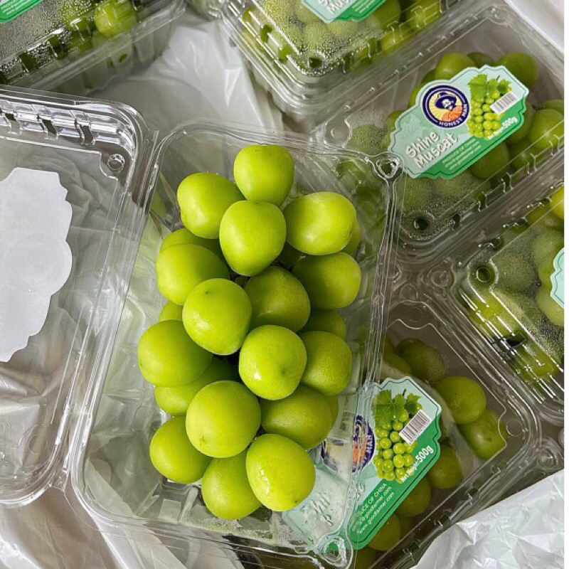 

Fresh Anggur Muscat 500gr/pack