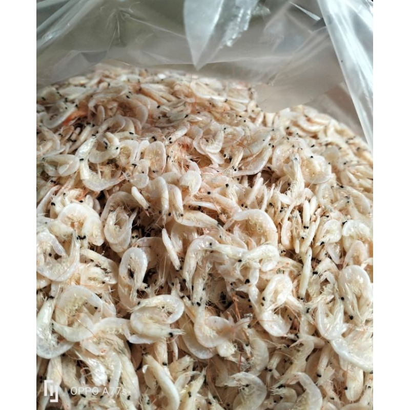 

Kecepe Medan Original