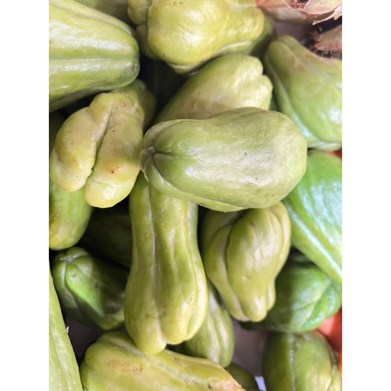 

Labu Lalap