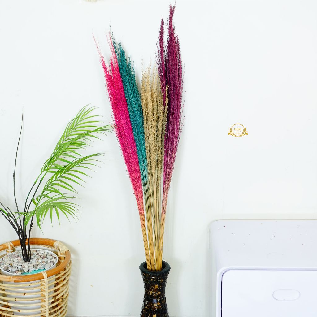 GREEN GRASS / BUNGA KERING BESAR DEKORASI RUMAH DAN TAMU RUSTIC