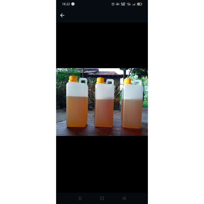 

madu amanah satu jerigen