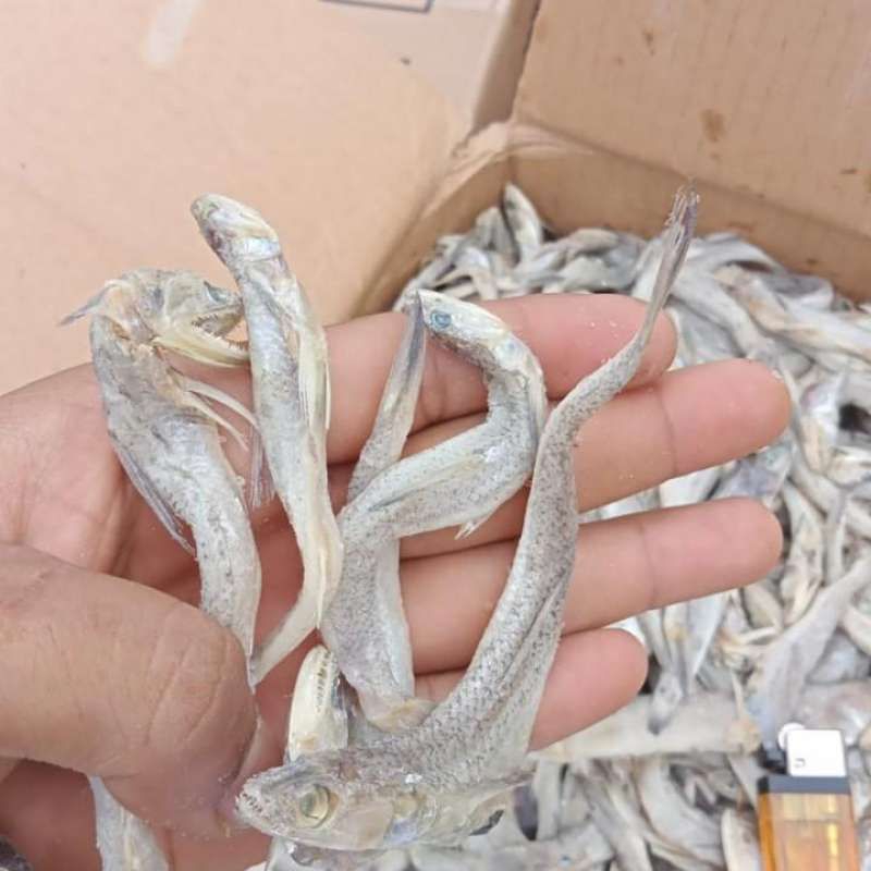

ikan asin kacangan 500 gram