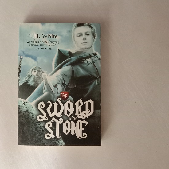 The Sword in the stone