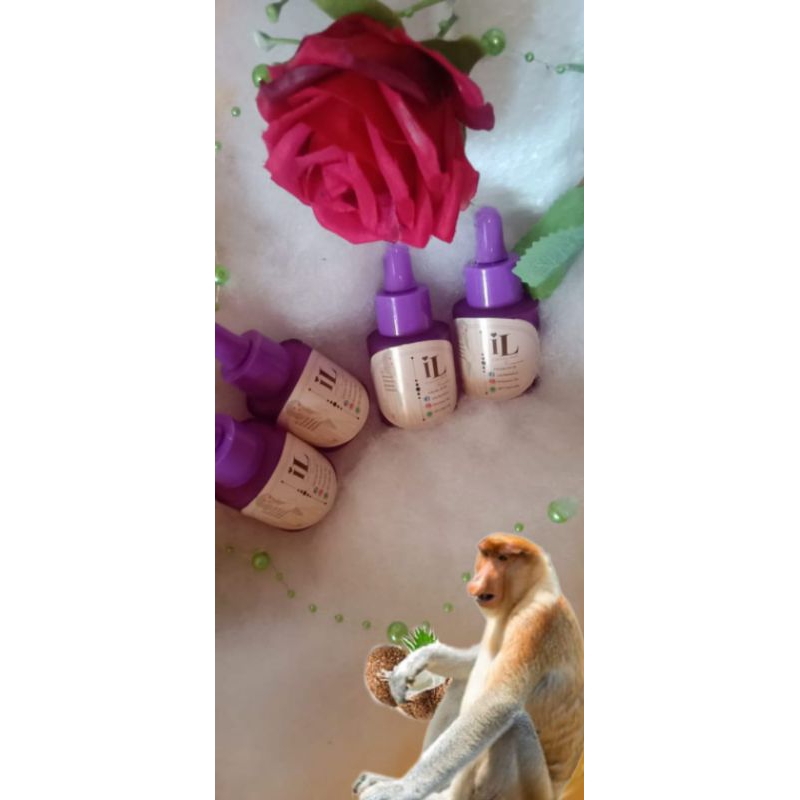 

Minyak Kelapa Asli Kalimantan isi 20ml